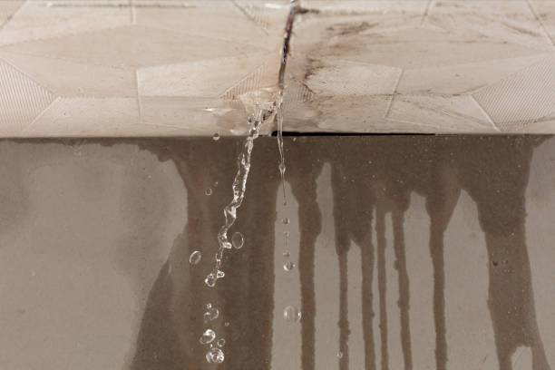 Professional Structural Drying technician working in Byron, MI